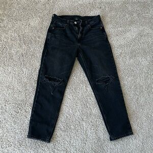AE Strigid Mom Jeans
